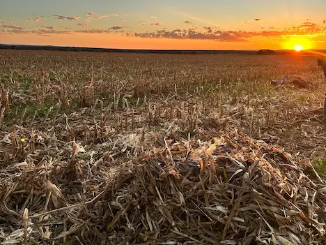 Two hunters proudly posing with their duck and geese they shot after another successfull hunting expedition